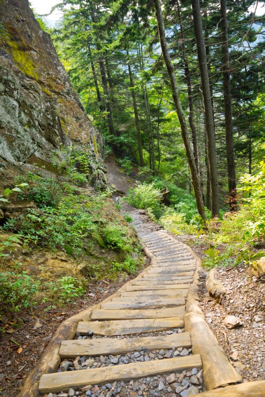 Pavers Installation Service