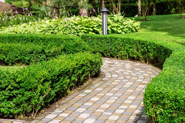 Cost of Paved Landscaping in Bellingham