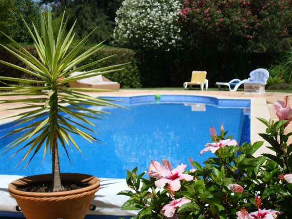 Cost of Pool Terrace Renovation in Bellingham