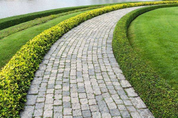 Cost of Sidewalk Pavers Installation in Bellingham
