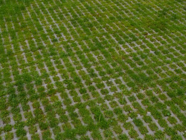 Cost of Permeable Pavement Service in Bellingham