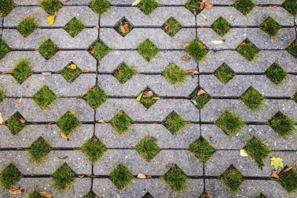 Cost of Porous Paver Installation in Bellingham